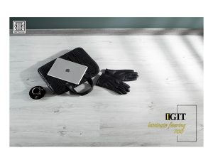 پارکت ایگیت