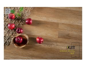 پارکت ایگیت