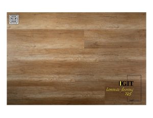 پارکت ایگیت