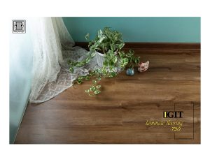 پارکت ایگیت