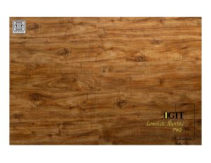 پارکت ایگیت
