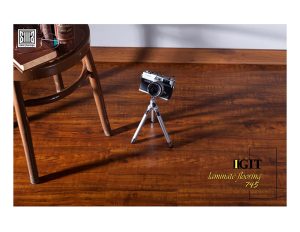 پارکت ایگیت