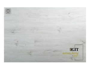 پارکت ایگیت