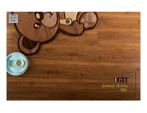 پارکت ایگیت