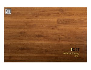 پارکت ایگیت