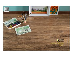 پارکت ایگیت