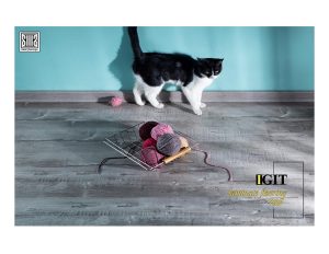 پارکت ایگیت