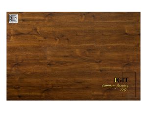 پارکت ایگیت