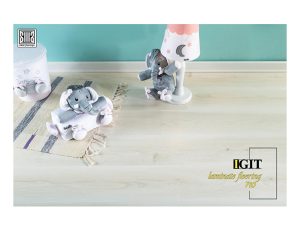 پارکت ایگیت