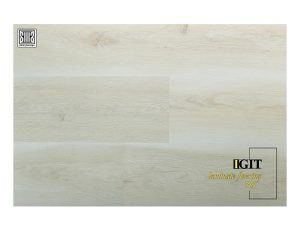 پارکت ایگیت