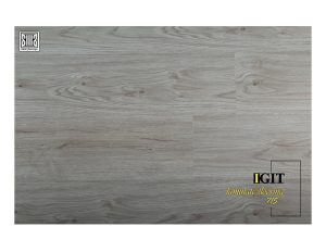 پارکت ایگیت