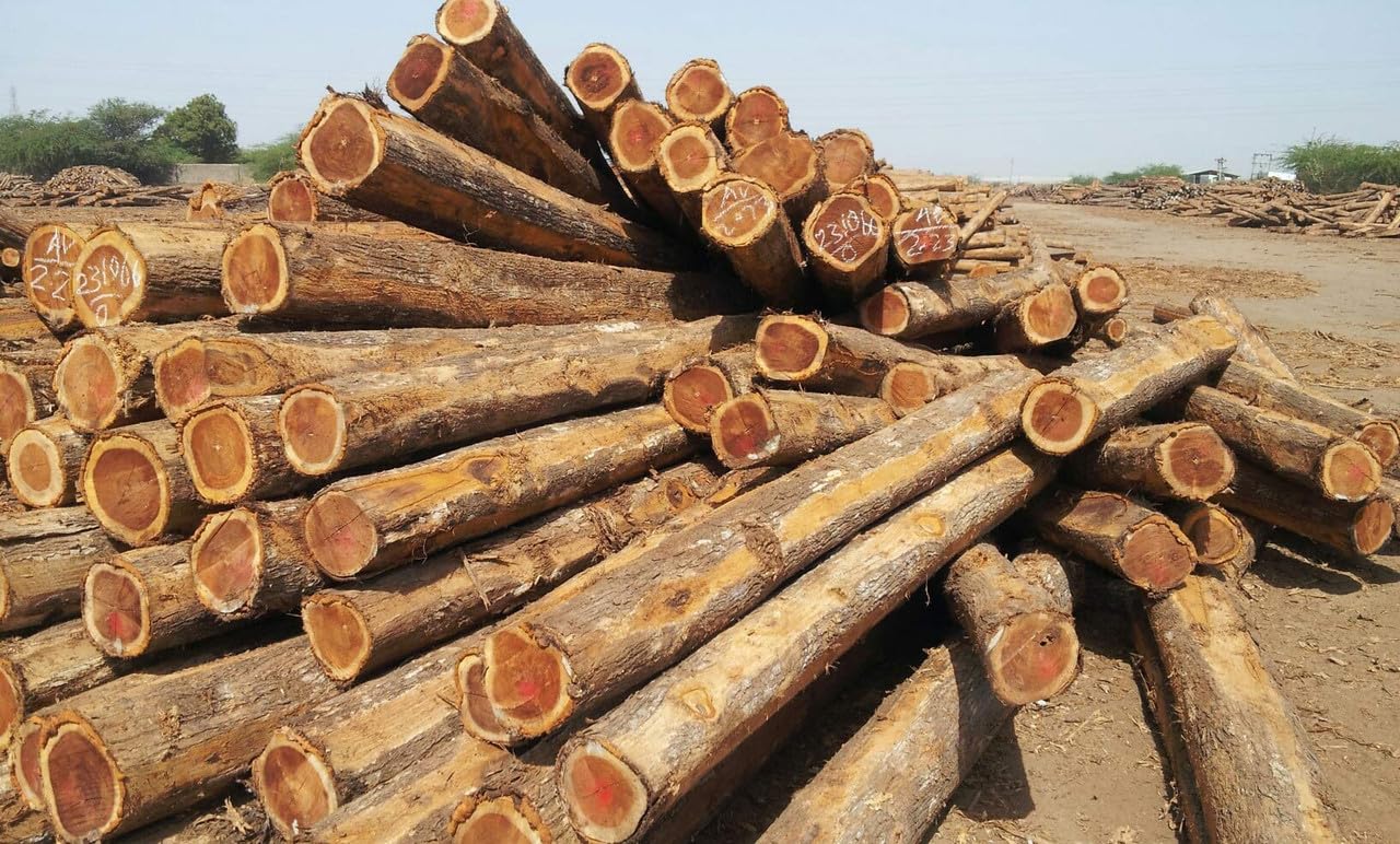 پارکت لمینت چوب تیک