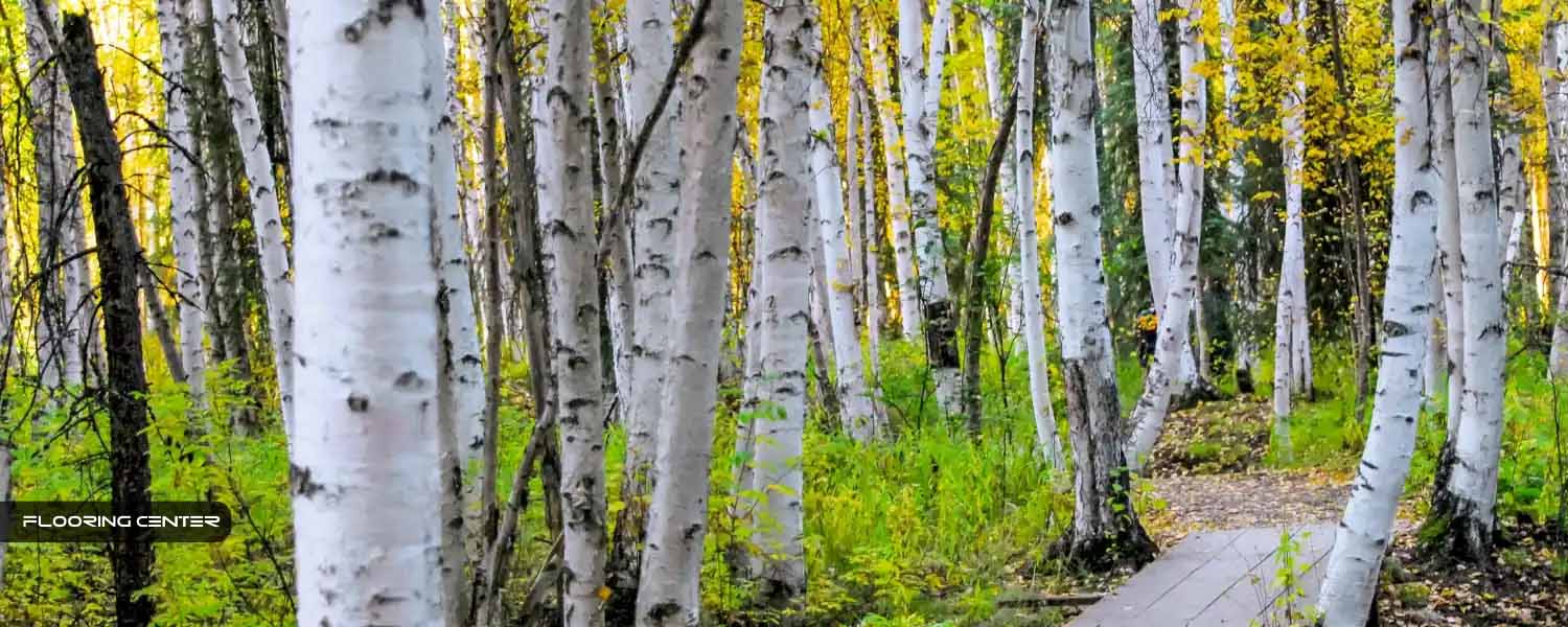 لمینت چوب غان