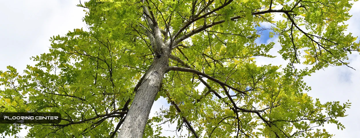 لمینت چوب زبان گنجشک