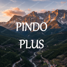 پارکت لمینت پیندو پلاس PINDO PLUS با طرح چوب طبیعی